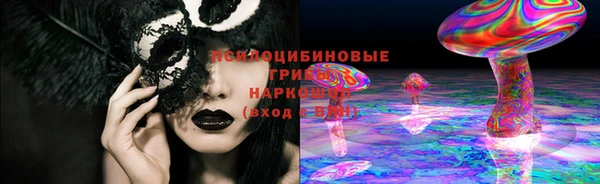 apvp Бугульма