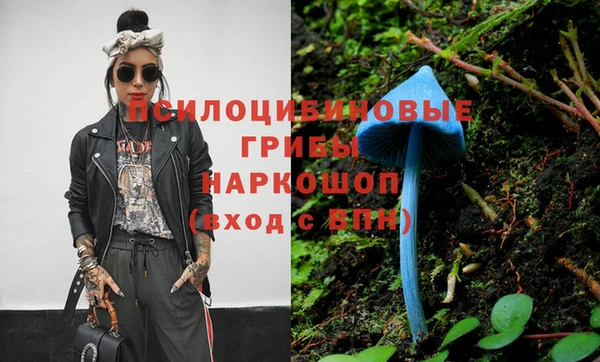 круглые Бородино