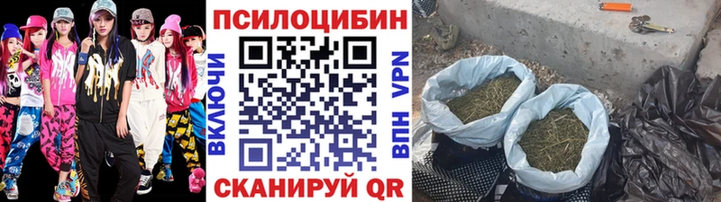 Галлюциногенные грибы Psilocybe  Электросталь 