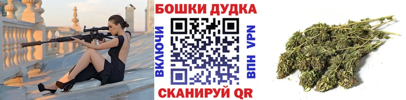 Шишки марихуана OG Kush Электросталь